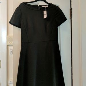 LOFT Dresses - Black short sleeve A-line, zip back dress LOFT Dresses - Black short sleeve A-line, zip back dress